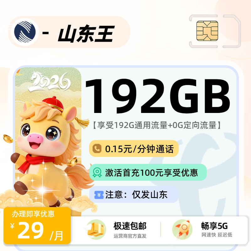 0510广电山东王【山东省内】 | 29元月享192G流量,仅发山东省。