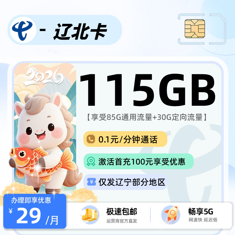 0515电信辽北卡【辽宁省内】-流量卡