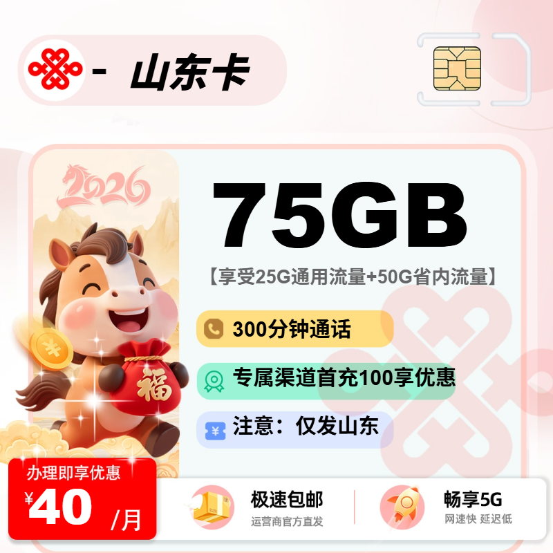联通山东卡【山东省内】